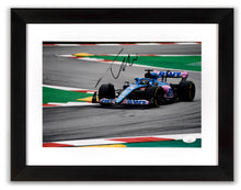 Cargar imagen en el visor de la galería, Fernando Alonso
